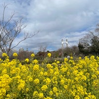 Photo taken at Kiba Park by Masamichi O. on 3/5/2024