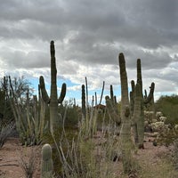Photo taken at Desert Botanical Garden by Saad on 1/4/2024