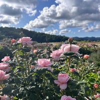 Photo taken at Echigo Hillside National Government Park by kazu m. on 5/24/2023