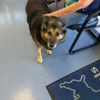 vca black mountain animal hospital