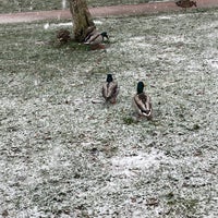 Photo taken at Bikás park by Kovács A. on 2/3/2023