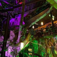 Foto diambil di Tree House Restaurante &amp;amp; Cafe oleh Alejandro B. pada 4/23/2022