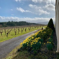 Photo taken at David Hill Winery by Andrew T. on 2/23/2020