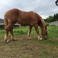 Meert Bvba Hobbyladen In Erpe Mere