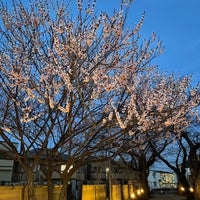 Photo taken at Fusai-ji Temple by Kazu I. on 2/28/2021