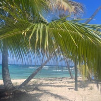 4/4/2023에 John R.님이 The Palms at Pelican Cove에서 찍은 사진