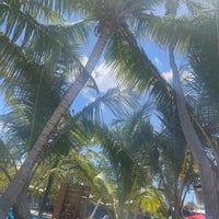 Foto scattata a The Palms at Pelican Cove da John R. il 4/4/2023