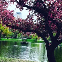 Photo taken at Boston Public Garden by Duygu İ. on 5/4/2016