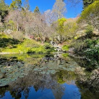 Photo taken at UC Berkeley Botanical Gardens by Munny K. on 3/21/2022