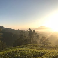 Photo taken at BOH Sungei Palas Tea Centre by Amy C. on 2/19/2018