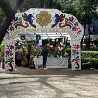Photo taken at Avenida Paseo de la Reforma by Luisa M. on 2/12/2024