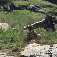 Das Foto wurde bei Dyreparken von Chana K. am 6/13/2017 aufgenommen