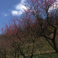 Photo taken at 花の文化園 by あい 有. on 3/10/2021