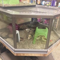 Photo taken at Petco by Aaron S. on 8/10/2016