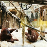 Photo taken at Zoo Dresden by Alex on 2/5/2024