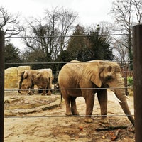 Photo taken at Zoo Dresden by Alex on 2/5/2024