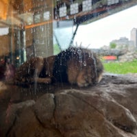 Foto scattata a Lincoln Park Zoo da Shannon S. il 6/1/2024