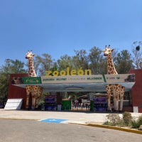 Photo taken at Zooleón by あ さ. on 4/30/2024