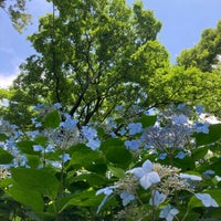 Photo taken at Kobe Municipal Arboretum by あ さ. on 7/2/2023