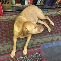 Photo taken at Herne Hill Books by Melis P. on 9/9/2017