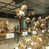 Photo taken at Государственный Дарвиновский музей / State Darwin Museum by Vladimir on 12/13/2014