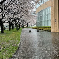Photo taken at Hitotsubashi University by みねむ on 3/26/2023