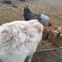 10/16/2016 tarihinde Max O.ziyaretçi tarafından Bay Natives Nursery'de çekilen fotoğraf