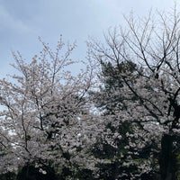 Photo taken at Senzoku Pond by Hiroshi M. on 4/7/2024