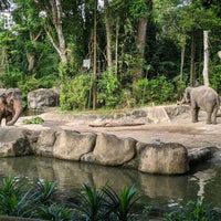 Photo taken at Elephants of Asia by Derek W. on 7/4/2020