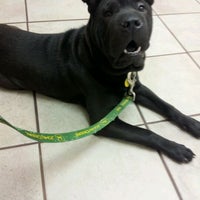 Photo taken at Allisonville Animal Hospital by Laurie P. on 4/25/2012
