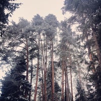 Photo taken at Караваевский лес by Theodore on 1/5/2014