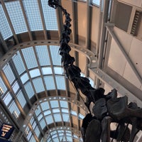 Photo taken at Brachiosaurus Altithorax by Megan on 10/12/2023