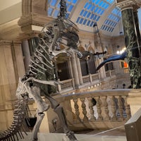 Photo taken at Bristol Museum and Art Gallery by Saif on 11/13/2022