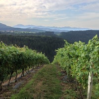 9/25/2013 tarihinde Dan O.ziyaretçi tarafından Bodega Berroja'de çekilen fotoğraf