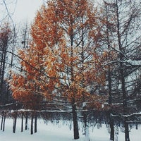 Photo taken at Сибирский ботанический сад ТГУ by FalseWeightless on 11/23/2014