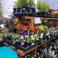 Photo taken at West Seattle Nursery &amp;amp; Garden Center by Tommy T. on 11/17/2019
