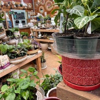 Photo taken at West Seattle Nursery &amp;amp; Garden Center by Tommy T. on 4/3/2022