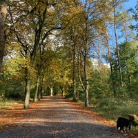 Photo taken at Forst Grunewald by An N. on 10/21/2023