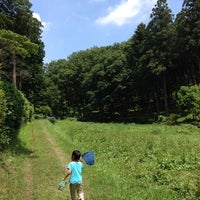 霞丘陵自然公園 青梅 0 Tips