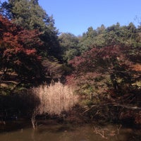 霞丘陵自然公園 青梅 0 Tips