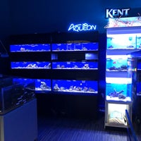 Denny pet world sales