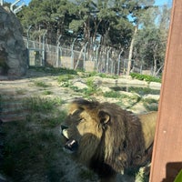 Photo taken at Bakı Zooparkı / Baku Zoo by h.sh on 4/29/2024