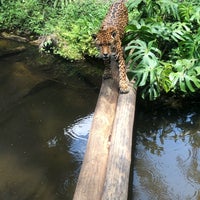 Photo taken at Fundação Parque Zoológico de São Paulo by Olga T. on 1/2/2020