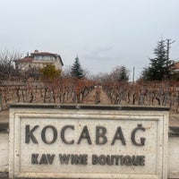 Photo prise au Kocabağ Şarapları par NS D. le12/11/2023