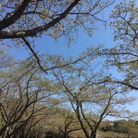 見野 霊園 月