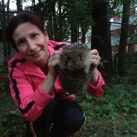 Photo taken at Laine (ex. Algus) by 🐭Наденька🐾 on 7/28/2013