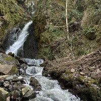 Photo taken at Borjomi by Fares .. on 4/16/2024