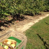 Photo taken at Stepp Apple Orchard by Margot B. on 10/11/2013