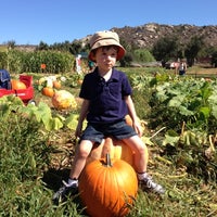 Mountain Valley Ranch Pumpkin Patch Farm