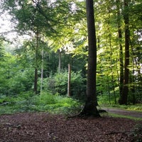 Photo taken at Volksdorfer Wald by Boris H. on 7/3/2014